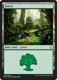 Forest (266) [Dominaria] | Gaming Infinity