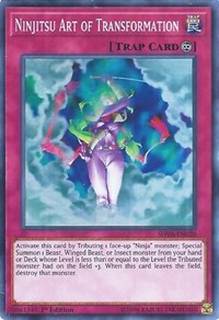 Ninjitsu Art of Transformation [Shadows in Valhalla] [SHVA-EN028] | Gaming Infinity