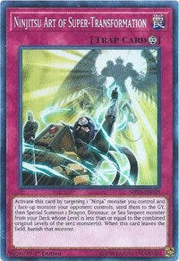 Ninjitsu Art of Super-Transformation [Shadows in Valhalla] [SHVA-EN029] | Gaming Infinity