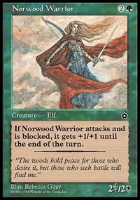 Norwood Warrior [Portal Second Age] | Gaming Infinity