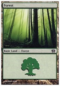 Forest (348) [Eighth Edition] | Gaming Infinity