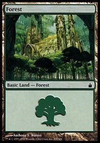 Forest (305) [Ravnica: City of Guilds] | Gaming Infinity