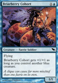 Briarberry Cohort [Shadowmoor] | Gaming Infinity