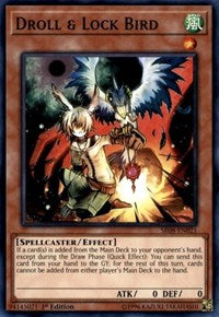 Droll & Lock Bird [Structure Deck: Order of the Spellcasters] [SR08-EN021] | Gaming Infinity