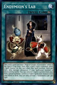 Endymion's Lab [Structure Deck: Order of the Spellcasters] [SR08-EN023] | Gaming Infinity