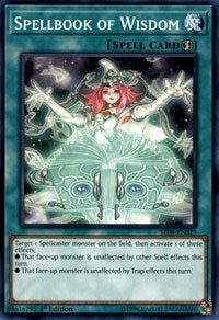 Spellbook of Wisdom [Structure Deck: Order of the Spellcasters] [SR08-EN029] | Gaming Infinity