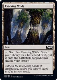 Evolving Wilds [Core Set 2020] | Gaming Infinity