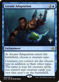 Arcane Adaptation [Ixalan Promos] | Gaming Infinity