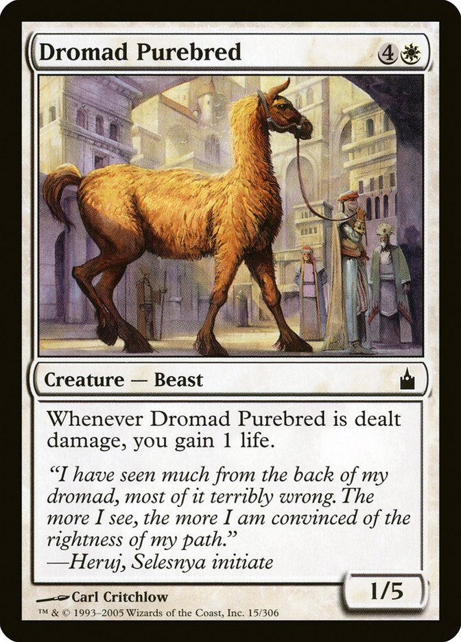 Dromad Purebred [Ravnica: City of Guilds] | Gaming Infinity