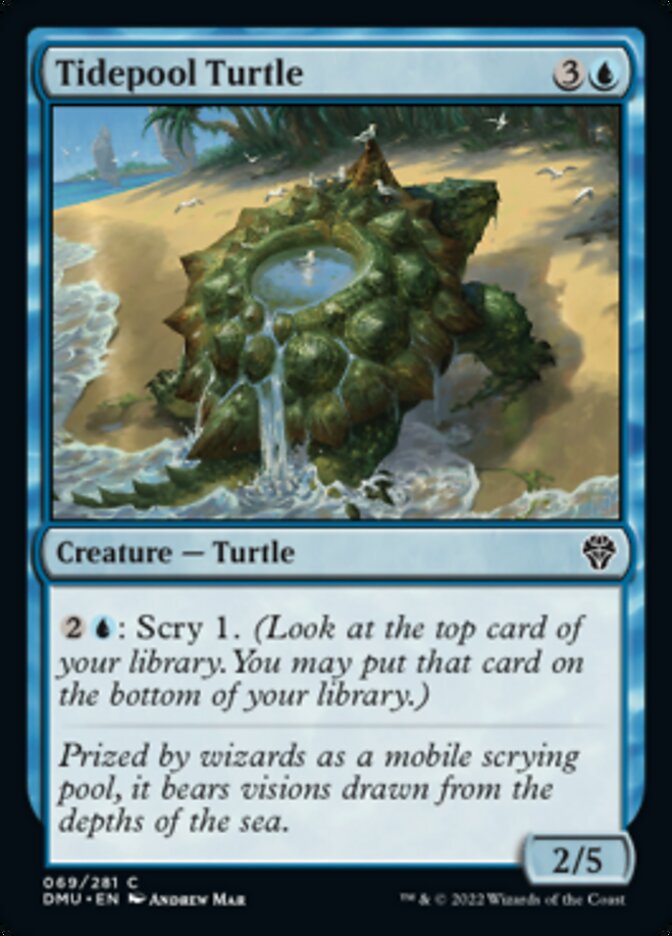 Tidepool Turtle [Dominaria United] | Gaming Infinity