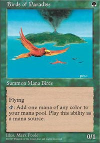 Birds of Paradise [Fifth Edition] | Gaming Infinity