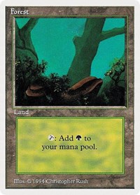 Forest (A) [Summer Magic] | Gaming Infinity