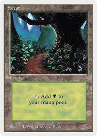 Forest (B) [Summer Magic] | Gaming Infinity
