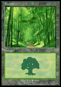 Forest - Broceliande [European Land Program] | Gaming Infinity