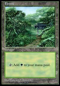 Forest - Clear Pack (Beard, Jr.) [Asia Pacific Land Program] | Gaming Infinity