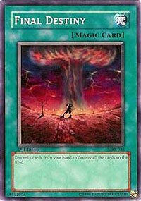 Final Destiny [Magic Ruler] [MRL-035] | Gaming Infinity