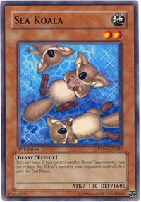 Sea Koala [Phantom Darkness] [PTDN-EN037] | Gaming Infinity