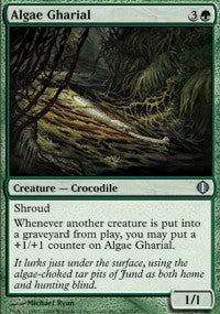 Algae Gharial [Shards of Alara] | Gaming Infinity