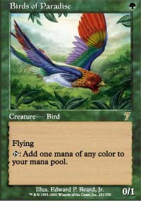 Birds of Paradise [Seventh Edition] | Gaming Infinity