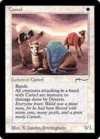 Camel [Arabian Nights] | Gaming Infinity