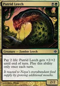 Putrid Leech [Alara Reborn] | Gaming Infinity