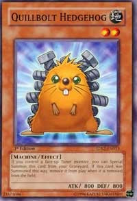 Quillbolt Hedgehog [5D's Starter Deck 2009] [5DS2-EN013] | Gaming Infinity