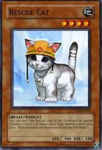 Rescue Cat [Champion Pack 5] [CP05-EN015] | Gaming Infinity