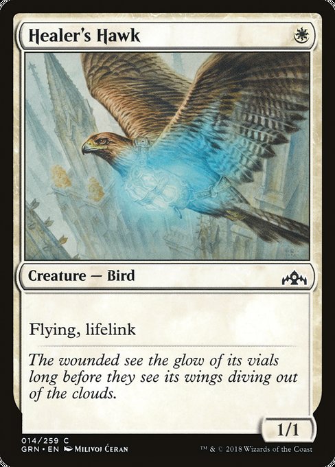 Healer's Hawk [Guilds of Ravnica] | Gaming Infinity