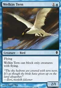 Welkin Tern [Zendikar] | Gaming Infinity