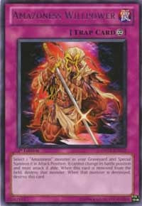 Amazoness Willpower [Duelist Revolution] [DREV-EN072] | Gaming Infinity