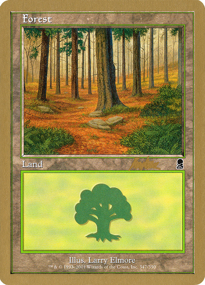 Forest (bk347) (Brian Kibler) [World Championship Decks 2002] | Gaming Infinity