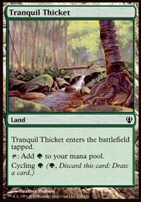 Tranquil Thicket [Archenemy] | Gaming Infinity