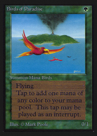 Birds of Paradise (IE) [Intl. Collectors’ Edition] | Gaming Infinity