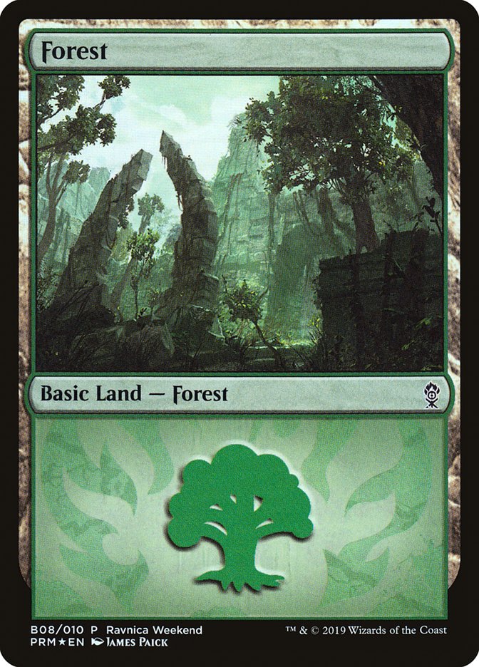 Forest (B08) [Ravnica Allegiance Guild Kit] | Gaming Infinity