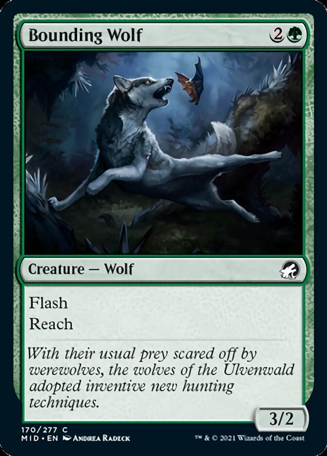 Bounding Wolf [Innistrad: Midnight Hunt] | Gaming Infinity