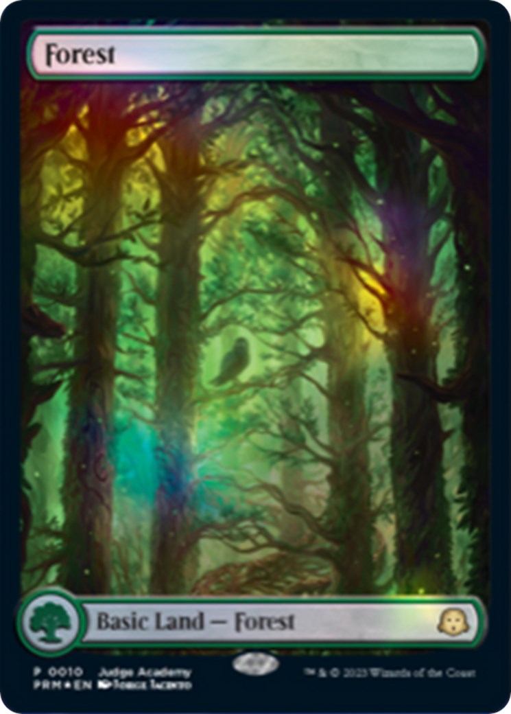 Forest [Judge Gift Cards 2023] | Gaming Infinity