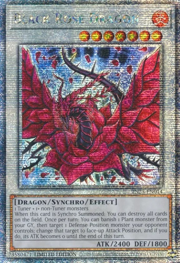 Black Rose Dragon [TN23-EN014] Quarter Century Secret Rare | Gaming Infinity