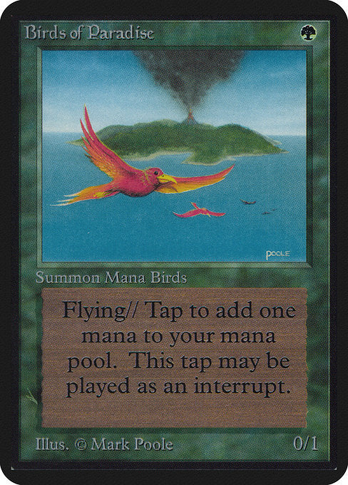 Birds of Paradise [Limited Edition Alpha] | Gaming Infinity