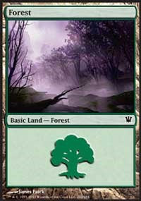 Forest (262) [Innistrad] | Gaming Infinity