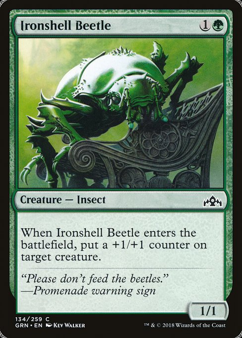 Ironshell Beetle [Guilds of Ravnica] | Gaming Infinity