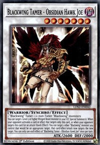 Blackwing Tamer - Obsidian Hawk Joe [LDS2-EN042] Common | Gaming Infinity