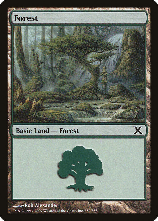 Forest (382) [Tenth Edition] | Gaming Infinity