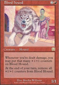 Blood Hound [Mercadian Masques] | Gaming Infinity