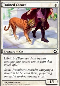 Trained Caracal [Return to Ravnica] | Gaming Infinity