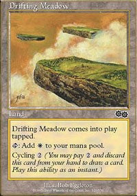 Drifting Meadow [Urza's Saga] | Gaming Infinity