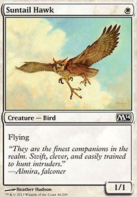 Suntail Hawk [Magic 2014] | Gaming Infinity