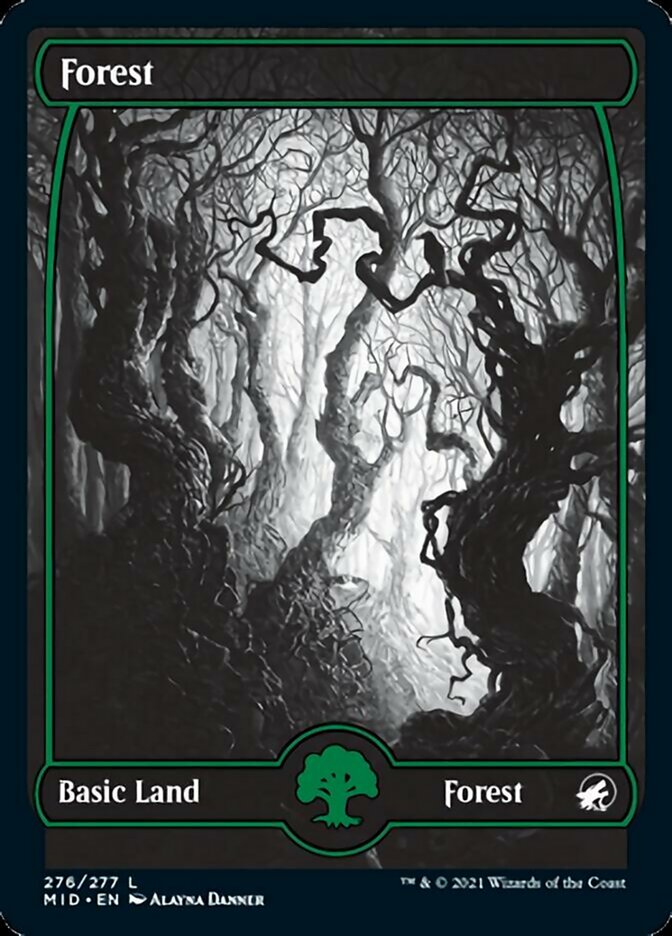 Forest (276) [Innistrad: Midnight Hunt] | Gaming Infinity