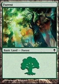 Forest (248a) [Zendikar] | Gaming Infinity