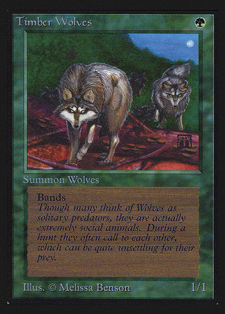 Timber Wolves (IE) [Intl. Collectors’ Edition] | Gaming Infinity