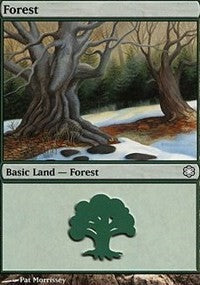 Forest (381) [Coldsnap Theme Decks] | Gaming Infinity